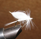 ���� CDC 024  puff caddis white � 12